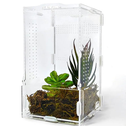 Acrylic Jumping Spider Enclosure Buckle Lock Escape Proof Spider House Ventilated Transparent Reptile Habitat Small Pet Supplies