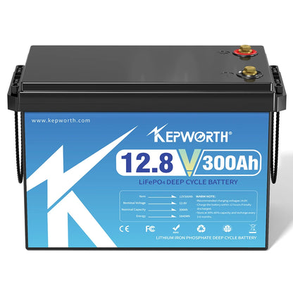 12V/24V LiFePO4 Battery with BMS - 30/50/100/120/135/300Ah for Golf Cart, Solar, RV, EV - Long Lifespan