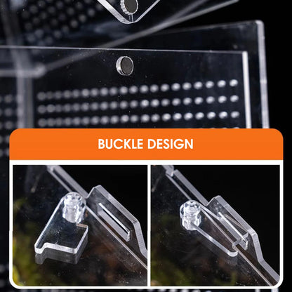 Clear Acrylic Reptile Feeding Box Stackable and Buckle Splicing Box for Scorpion Spider Frog
