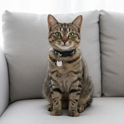 Adjustable Pet Cat Collar Quick Release Safety Buckle Anti-lost Cat Necklace Cat Pattern with Cat Face Pendant Bell