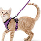 Adjustable Anti-Escape Small Cat Belt Kitten Harness Light Breathable Soft Pet Vest Wiring Harness Traction Belt Kitten Walking