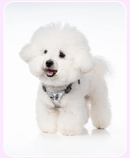 Butterfly Decor & Matching Leash Dog Harness for Small Dogs - Escape Proof Lightweight Vest
