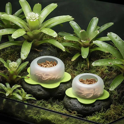 Anti Escape Reptile Feeding Dish Durable ABS Worm Food Bowl Easy Clean for Lizards Geckos Snakes Terrarium Tank