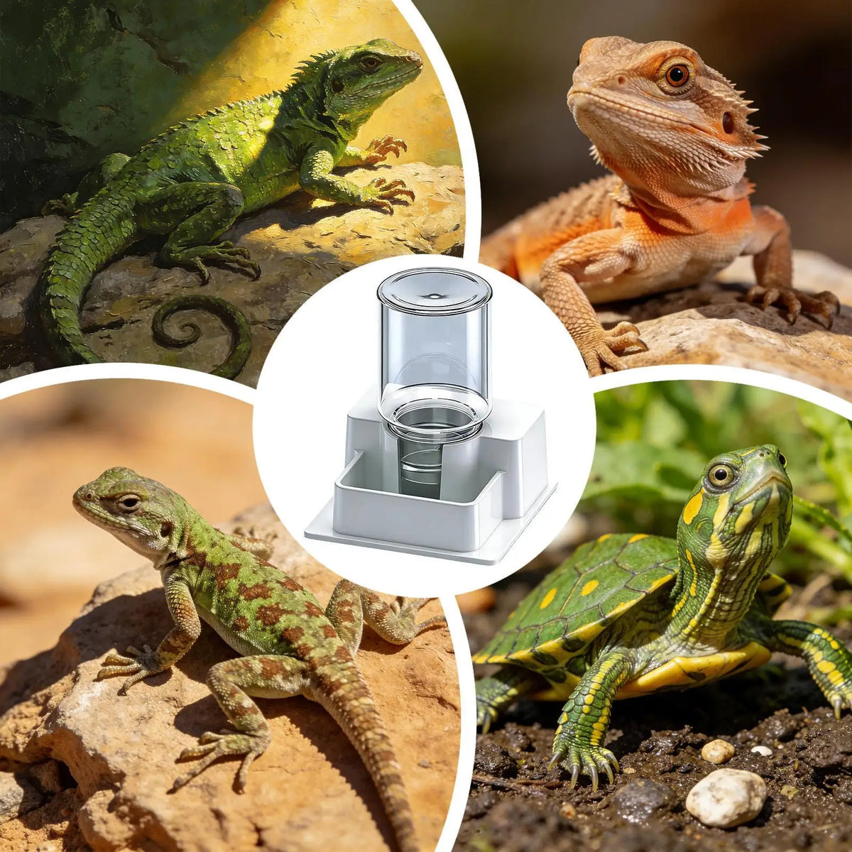 Reptile Water Dispenser Automatic Detachable Anti Drowning And Anti Evaporation Automatic Water Dispenser For Geckos Lizards
