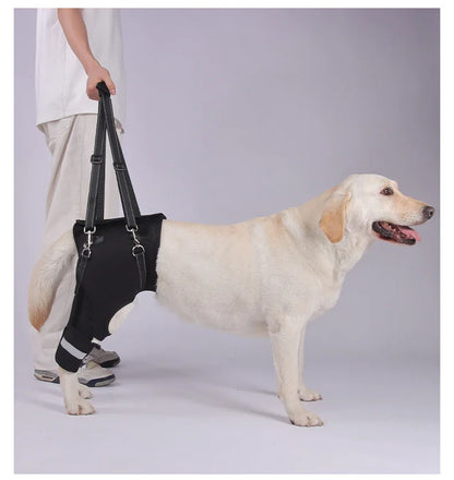 Dog Support Harness Elderly Dogs Adjustable Rehabilitation Mobility Aid Walk Comfortable Orthopedic Back Leg Lift Support Belt