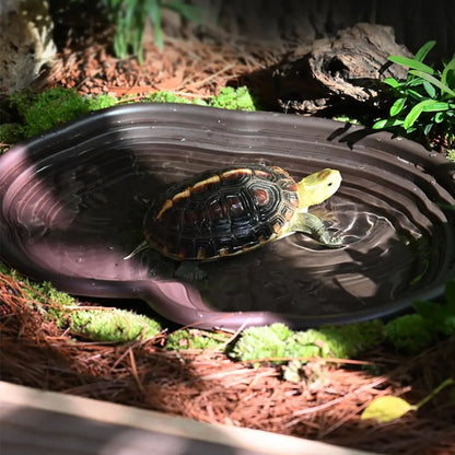 Reptile Bathing Dish Amphibians Habitat Reptile Tortoise Feeder  Water Food Bowl Feeding Dish for Bearded Dragons Turtle