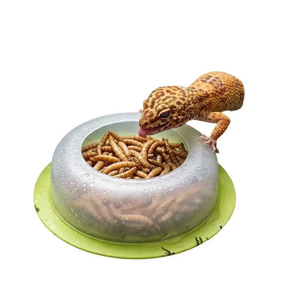New 1Pcs ABS Reptile Feeding Dish Anti Escape Worm Food Bowl For Lizards Geckos Snakes Turtles Tortoises