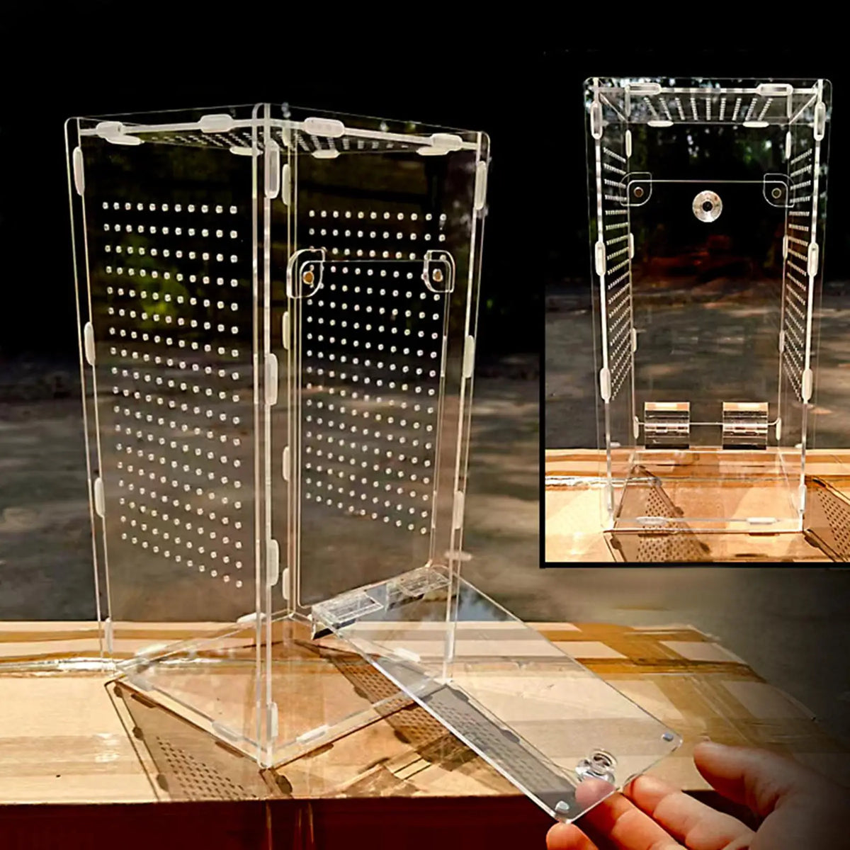Acrylic Mantises Terrarium Clear Reptile Cage Vertical Habitat Container for Spiders and Pets
