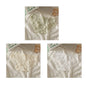 3Pcs Women Low Waist Panties Panties Sexy Lingerie Lace Quick Drying Briefs Female Seamless Underwear Solid Color Underpants