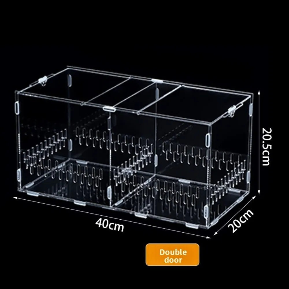Acrylic Jumping Spider Enclosure 2 Doors Transparent Small Pet Terrarium Escape-proof Ventilated Design Reptile Habitat