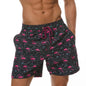 3D Print Flamingo Sports Quick-dry Breathable Men Women Pants Outdoor Casual Vacation Beach Hawaiian Sea Surfing Shorts Summer