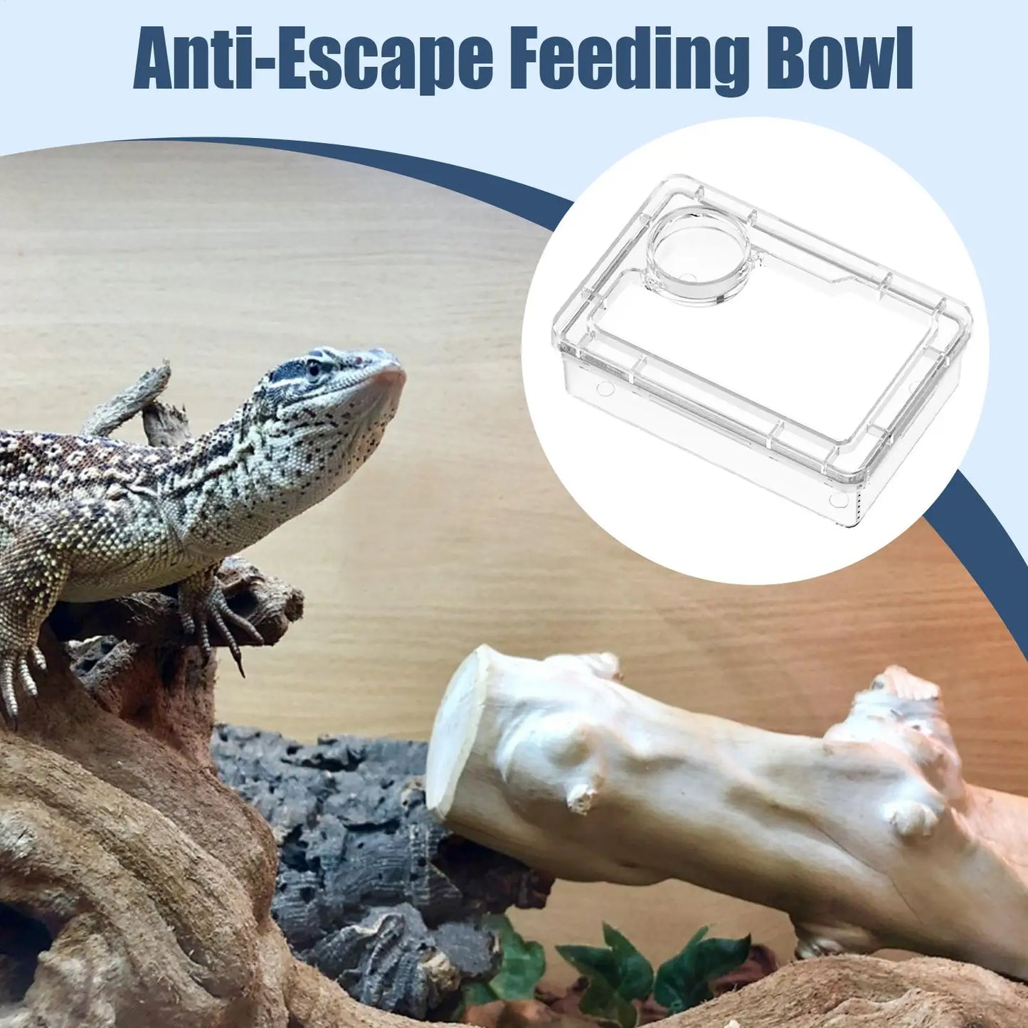 Reptile Escape Proof Feeding Dish Powder Reptile live food feeding bowl Transparent durable for Lizards chameleons iguanas