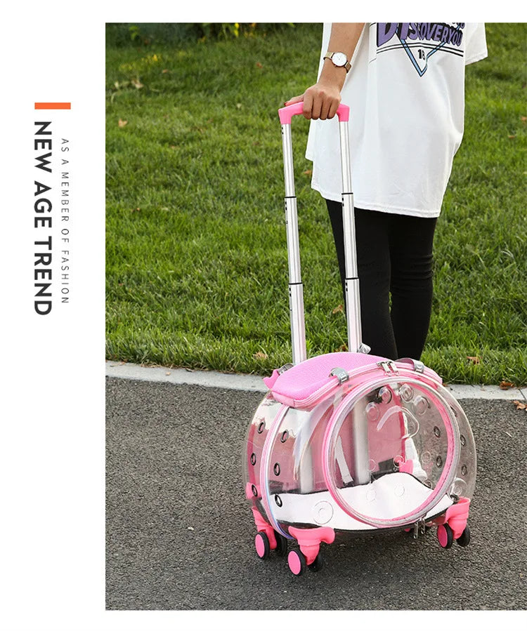 Pet Luggage, Transparent Space Capsule, Multi-purpose Backpack, Cat Bag, Large Capacity, Two Portable Small Dogs, Outdoor Bag