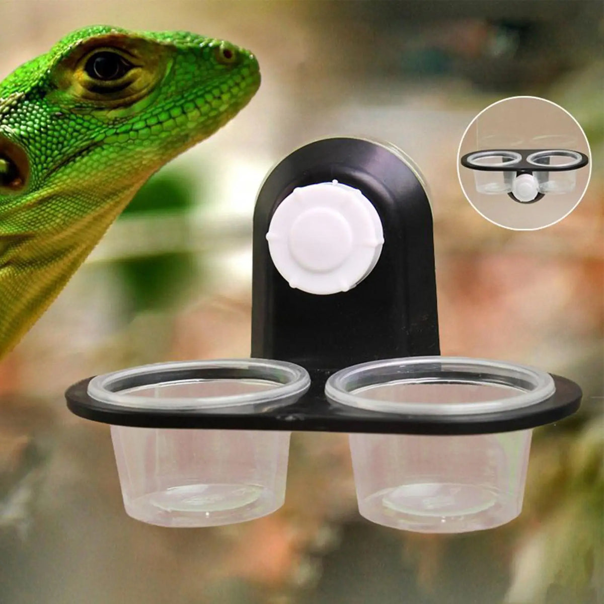 Reptile Tank Accessories Insect Spider Ants Nest Snake Gecko Food Water Feeding Bowl Terrarium Breeding Feeders Box Pets Supplie