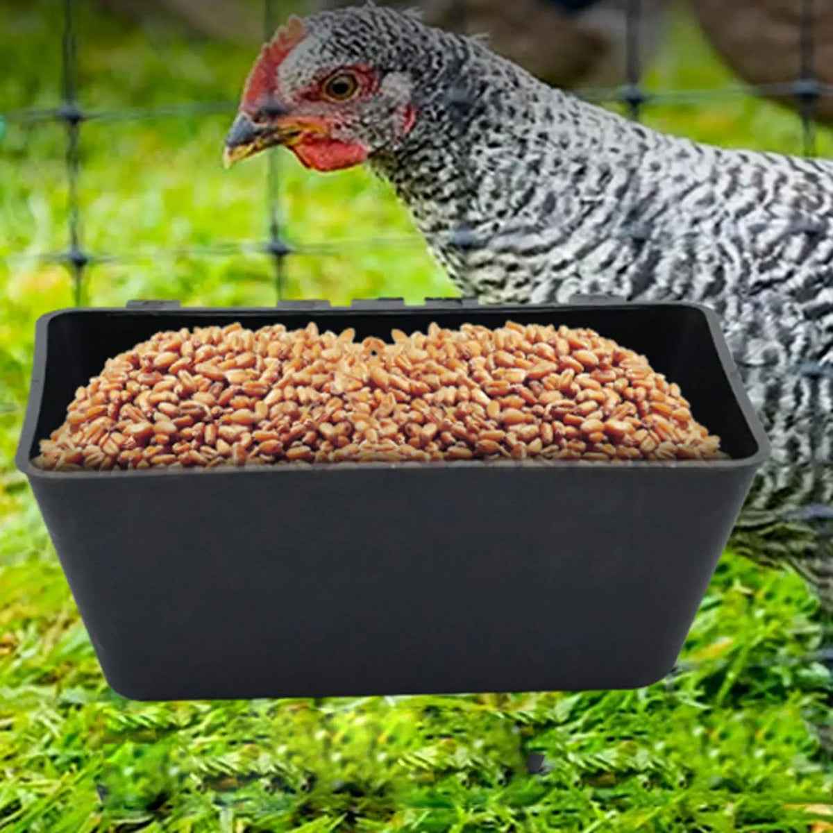 Hanging Fence Feeder Goat Feeder Multipurpose Poultry Trough Feeder Livestock Water Bucket for Duck Chicken Piglets Sheep Horse
