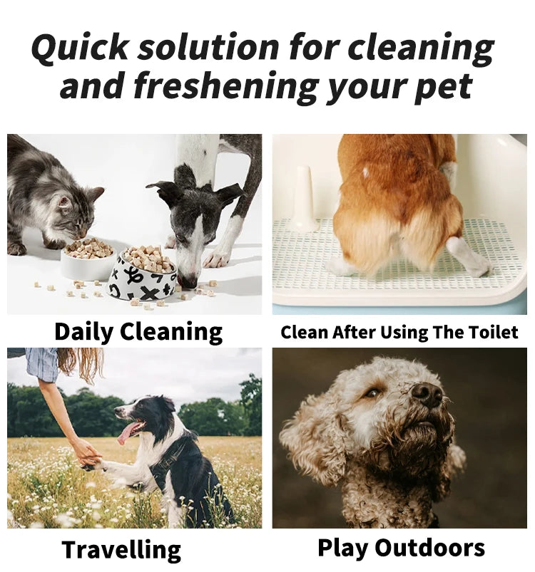 80PCS/pack Pet Wipes Disposable Pure Water Formula Pet Care Dog and Cat Health Cleaning Deodorizing Wipes Single-use