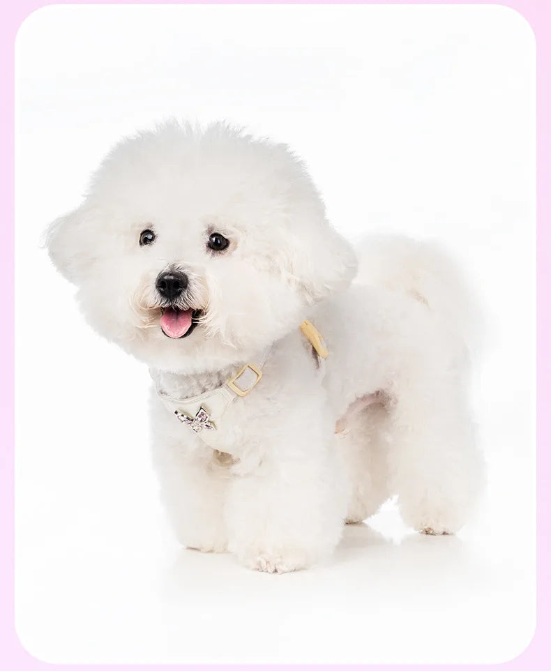Butterfly Decor & Matching Leash Dog Harness for Small Dogs - Escape Proof Lightweight Vest