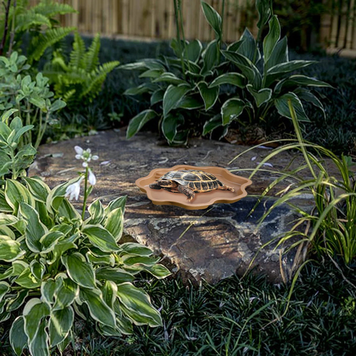 Reptile Bathing Pool Amphibians Accessories Large With Ramp Reptile Water Bowl For Tortoise Turtle Hamster Scorpion Leopard Pet