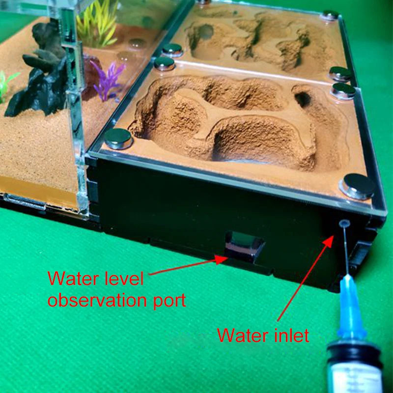 Concrete Ant Farm House Super Large Yellow Mud Ant Nest Gypsum Pet Anthill Insect Castle M Workshop Ant House with Hunting Area