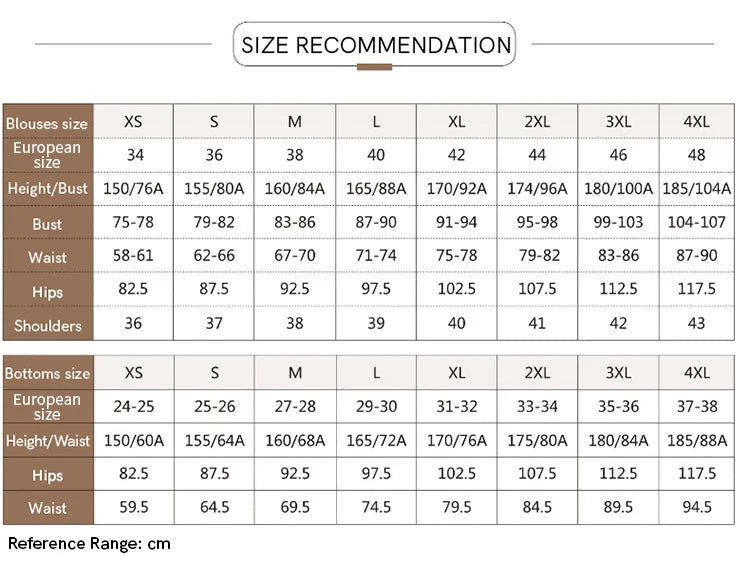 AMII Minimalist Blouse for Women 2023 Autumn Lantern Sleeve V-Neck Slightly Transparent Elegant Commuter Clothing Tops 72341030