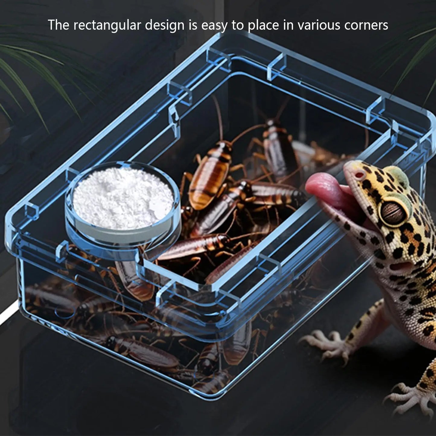 Reptile Escape Proof Feeding Dish Powder Reptile live food feeding bowl Transparent durable for Lizards chameleons iguanas