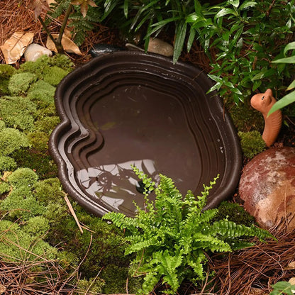 Reptile Bathing Pool Amphibians Accessories Large with Ramp Reptile Water Bowl for Tortoise Turtle Hamster Scorpion Leopard