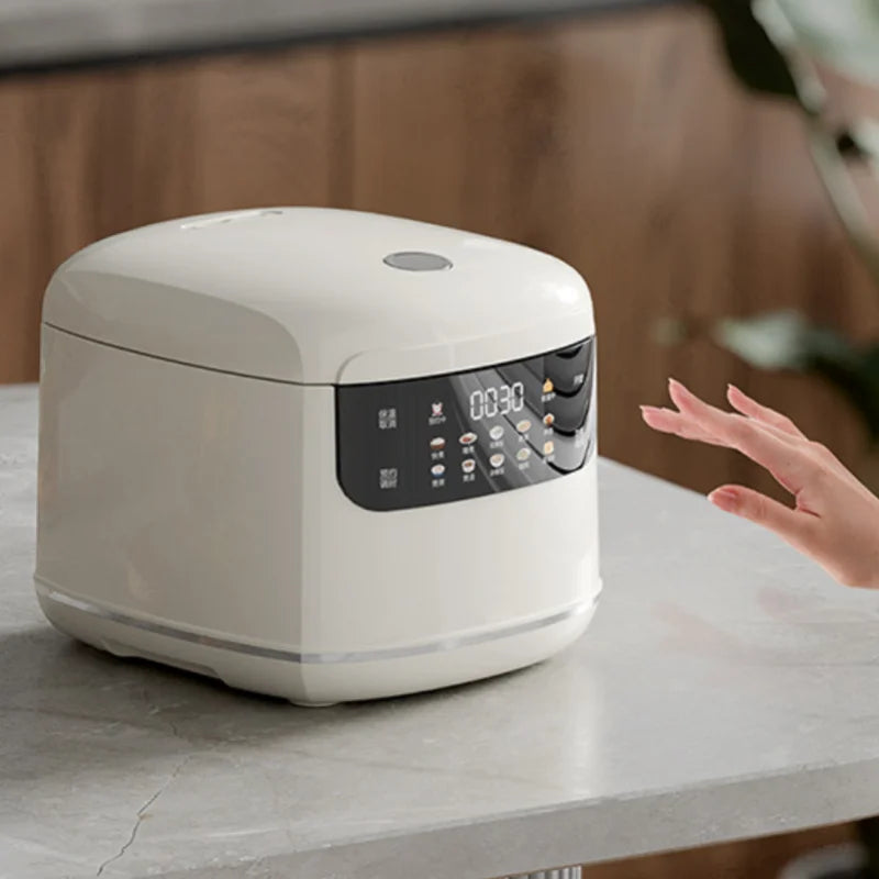 Mini Rice Cooker 2-3 People, Multifunctional Home Smart Electric Rice Cooker