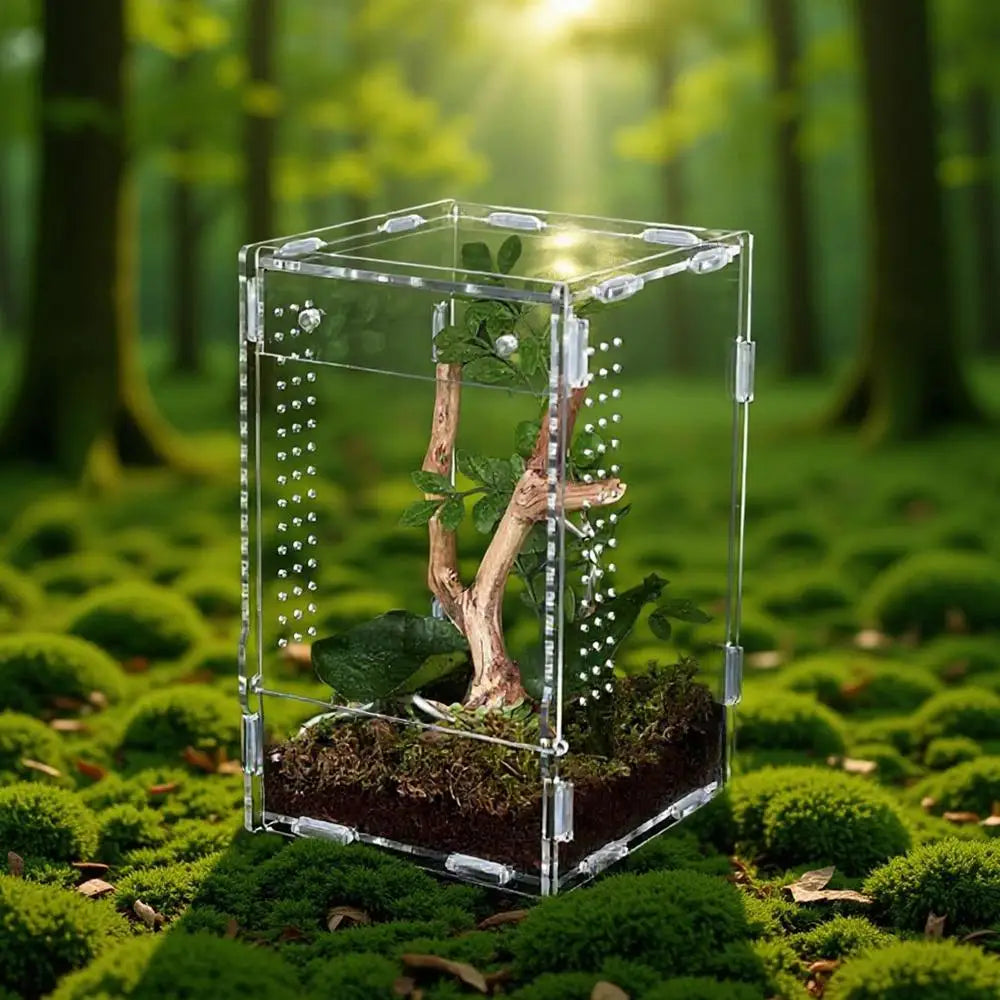 1pc Acrylic Transparent Reptile Breeding Box Amphibian Cage Nano Arboreal Tarantula Enclosure Jumping Spider Reptiles Habitat