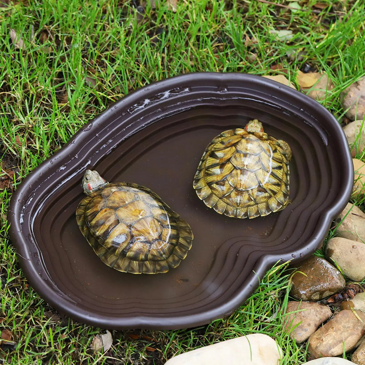 Reptile Bathing Pool Amphibians Accessories Large with Ramp Reptile Water Bowl for Tortoise Turtle Hamster Scorpion Leopard