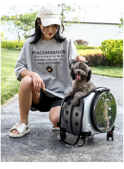 Pet Luggage, Transparent Space Capsule, Multi-purpose Backpack, Cat Bag, Large Capacity, Two Portable Small Dogs, Outdoor Bag