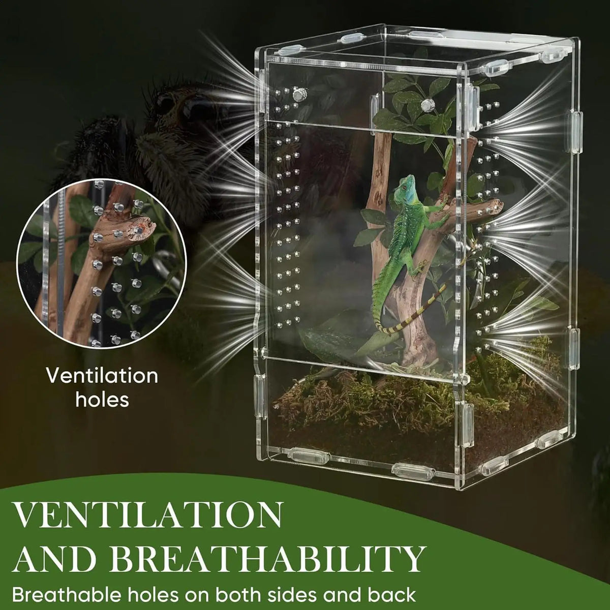 Acrylic Transparent Reptile Terrarium Breeding Box amphibian Cage Nano Arboreal Tarantula Enclosure Jumping spider Reptiles Habi