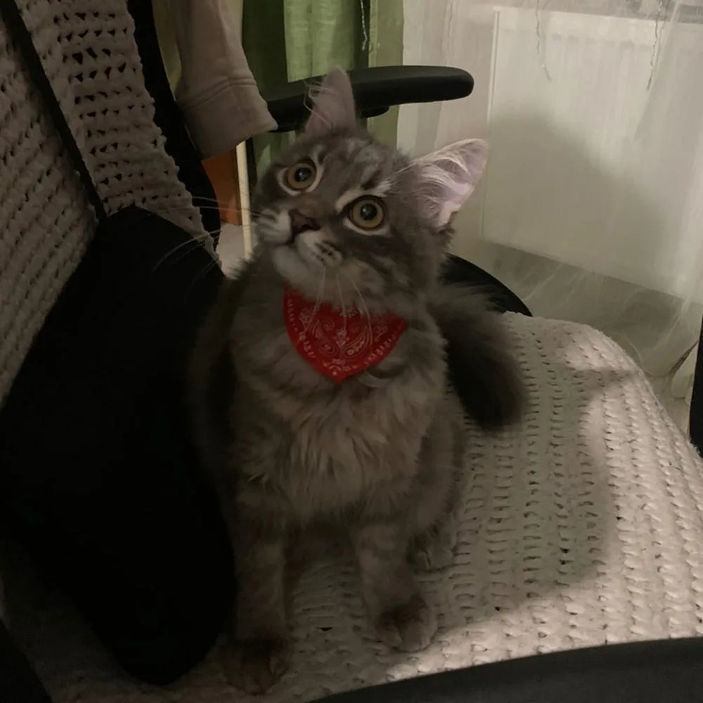 Adjustable Pet Puppy Cat Scarf Bandana Collar Neck Scarf For Small Dogs Kitten Saliva Towel PU Collar with Triangular Bandage