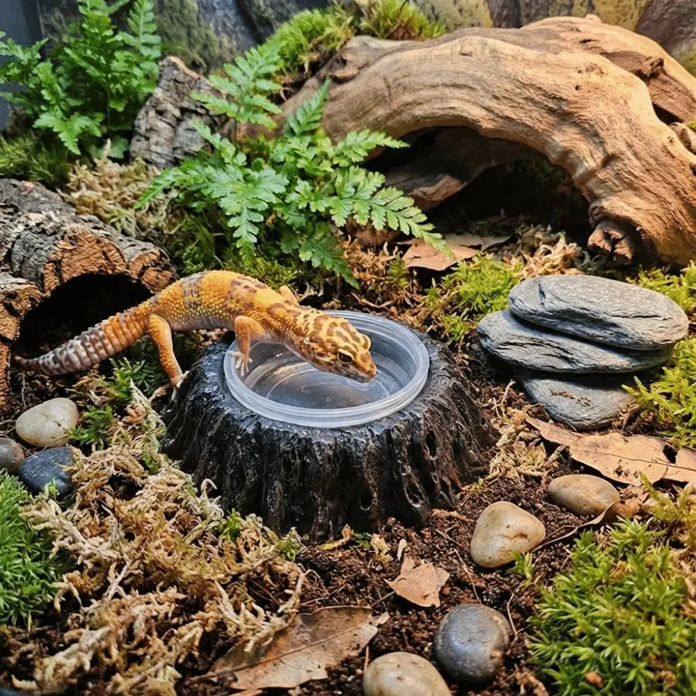 Imitation Stone Resin Rock Feeder Dish Wear Resistant Anti-knock Pet Feeder Ledge with Bowls Wide Mouth Reptile Food Bowl