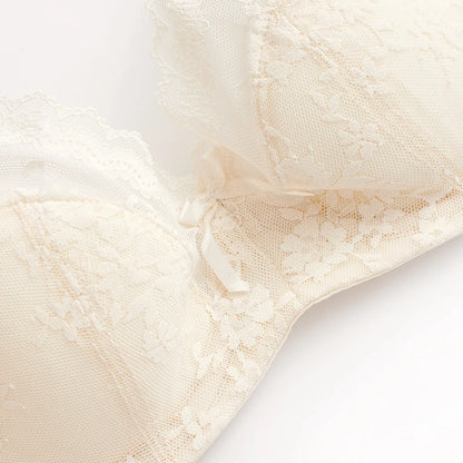 Summer Sexy Lace Embroidery Women Lingerie Set French Thin Cup Push Up Bra Comfort Breathable Underwear Ladies Bra Briefs Set