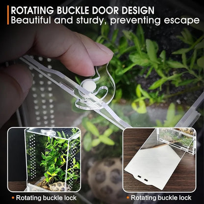 Acrylic Jumping Spider Enclosure Buckle Lock Escape Proof Reptile Feeding Tank Transparent Ventilated Spider House