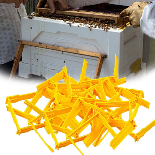 Beekeeeping Beehive Frame For Queen Bee Tools 50 PCS Queen Mating Box Frames Mini Nuc Beehive Frame