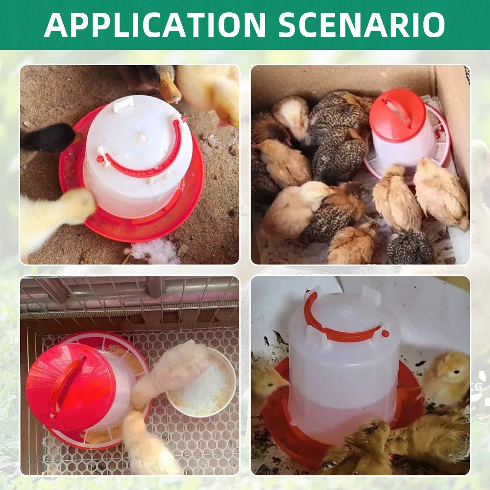Chicken Poultry Feeder And Waterer Water Food Dispenser Automatic Chicken Chick Waterer Feeding Bucket Container Farm Supply