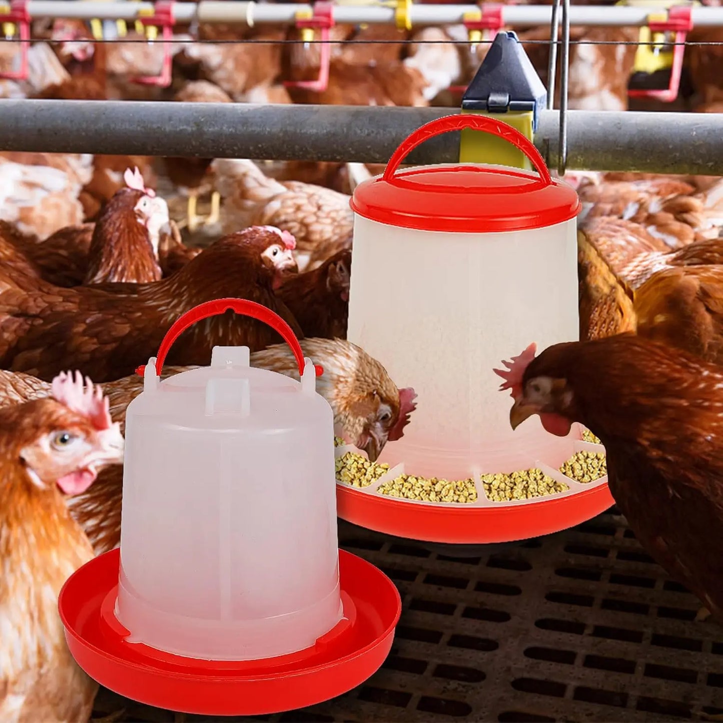 Chicken Poultry Feeder And Waterer Water Food Dispenser Automatic Chicken Chick Waterer Feeding Bucket Container Farm Supply