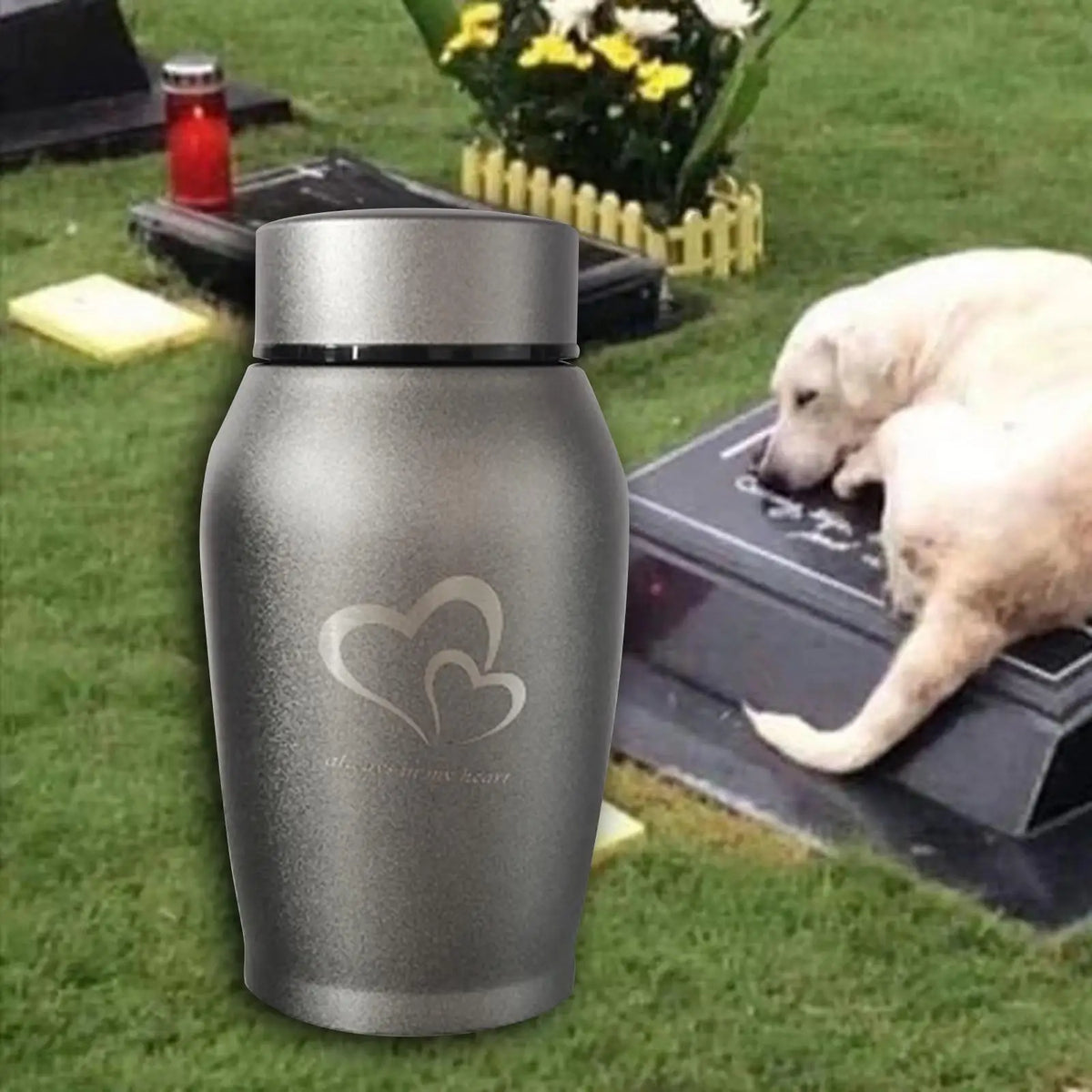 Pet Urns Funeral Souvenir Bottle Pet Ash Urn Burial Cremation Memorial Urn
