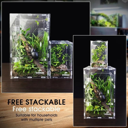 Acrylic Jumping Spider Enclosure Buckle Lock Escape Proof Reptile Feeding Tank Transparent Ventilated Spider House