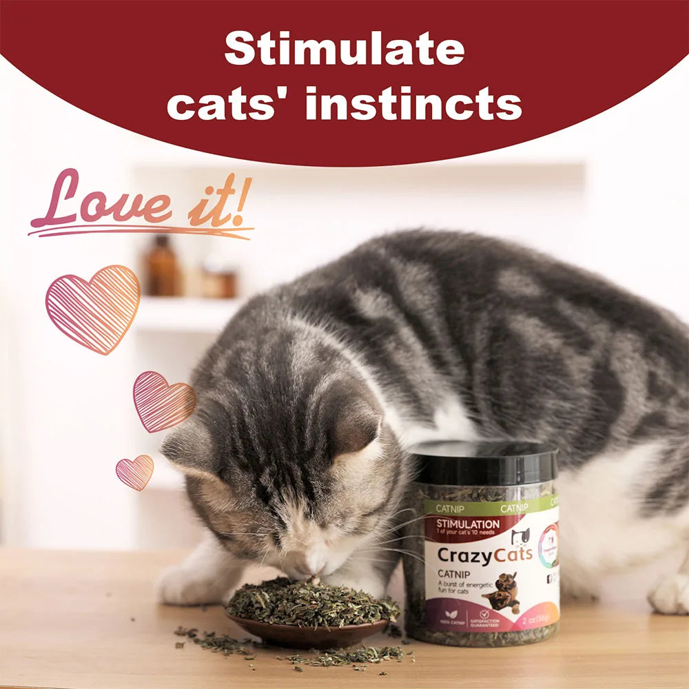 Pet's Cat Premium Catnip-56g Jar of High Potency Catnip,100% Natural & Chemical-Free,Safe for All Cat Ages