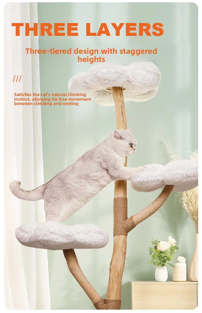for Cloud Cat Climbing Frame Large Cat Tree Jumping Platform All-in-one Light-luxury Solid Wood Cat Shelf Nest