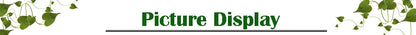 4~20mm Hose Filter Car Wash Tube Garden Irrigation Aquarium Filter Strainer Stainless Steel Mesh Filter