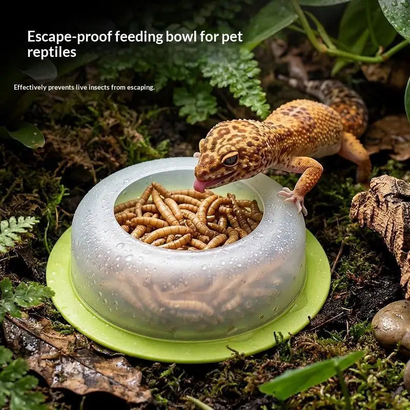 Anti Escape Reptile Feeding Dish Durable ABS Worm Food Bowl Easy Clean for Lizards Geckos Snakes Terrarium Tank