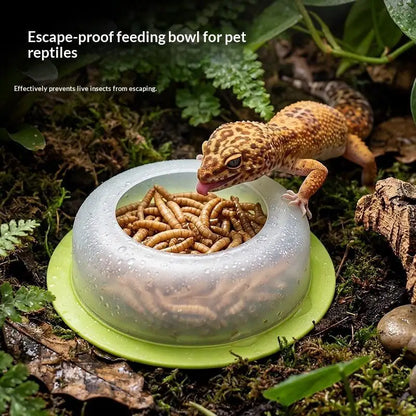 Anti Escape Reptile Feeding Dish Durable ABS Worm Food Bowl Easy Clean for Lizards Geckos Snakes Terrarium Tank