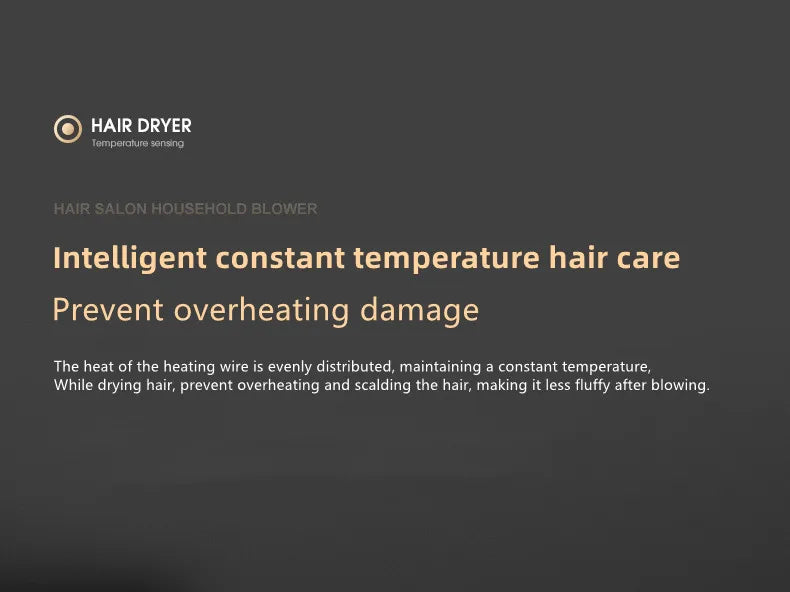 Hot Selling Professional Hair Dryer Negative Ion High Power Blue Light Foldable Electric Hair Dryer Salon Hair Tools Home