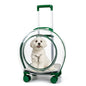 pet trolley case portable dog going out transparent trolley bag large capacity two cats