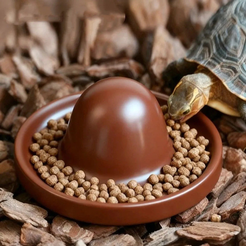 Plastic Reptile Feeder Bowl Round Wear Resistant Turtle Food Dish Escape Proof Wide Mouth Feeder Ledge for Amphibians