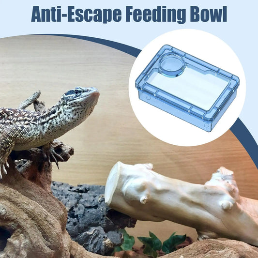 Reptile Escape Proof Feeding Dish Powder Reptile live food feeding bowl Transparent durable for Lizards chameleons iguanas