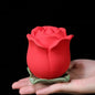 Ceramic Ash Urn Mini Funeral Box Small Pet Cremation Ashes Urns Animal Rose Flower Container Puppy Deceased Pet Cats Memorial